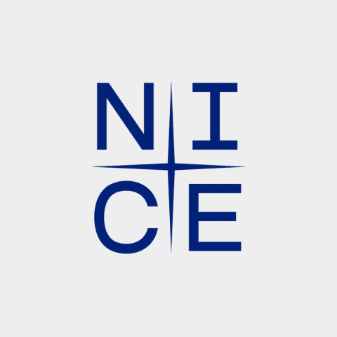 NICE평가정보 로고